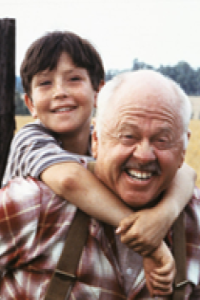 Black Stallion, The [Mickey Rooney]